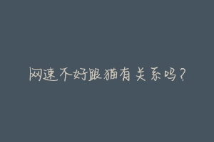 网速不好跟猫有关系吗?-动物百科