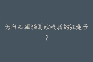为什么猫猫喜欢咬我的红绳子?-动物百科