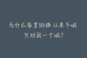 为什么家里的猫 从来不喊 只对我一个喊?-动物百科