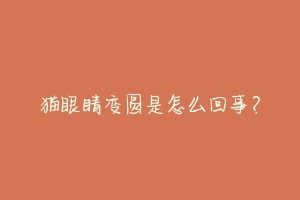 猫眼睛变圆是怎么回事?-动物百科