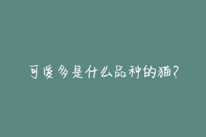 可爱多是什么品种的猫?-动物百科