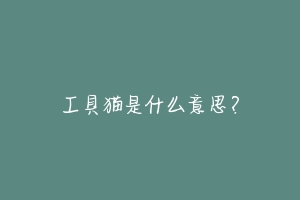 工具猫是什么意思?-动物百科