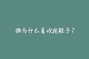 猫为什么喜欢抱鞋子?-动物百科
