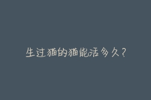 生过猫的猫能活多久?-动物百科