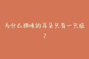 为什么猫咪的耳朵只有一只脏?-动物百科