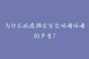为什么抚摸猫会发出咕噜咕噜的声音?-动物百科