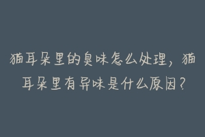 猫耳朵里的臭味怎么处理,猫耳朵里有异味是什么原因?-动物百科