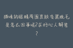 猫咪的眼睛周围皮肤变黑脱毛是怎么回事呢?求好心人解答?-动物百科
