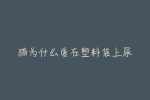 猫为什么爱在塑料袋上尿-动物百科