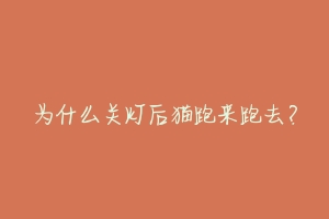 为什么关灯后猫跑来跑去?-动物百科