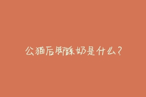 公猫后脚踩奶是什么?-动物百科