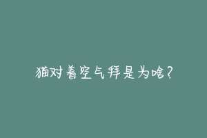 猫对着空气拜是为啥?-动物百科