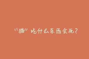 “猫”吃什么东西会死?-动物百科