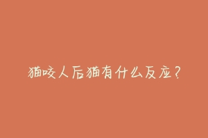 猫咬人后猫有什么反应?-动物百科