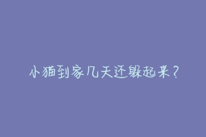 小猫到家几天还躲起来?-动物百科