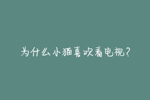 为什么小猫喜欢看电视?-动物百科