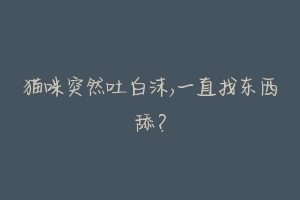 猫咪突然吐白沫,一直找东西舔?-动物百科