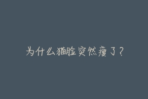 为什么猫脸突然瘦了?-动物百科