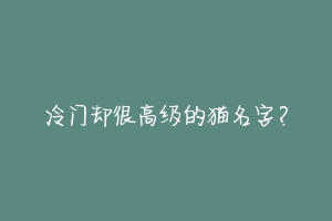 冷门却很高级的猫名字？-动物百科