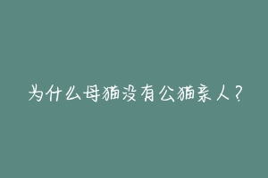 为什么母猫没有公猫亲人？-动物百科