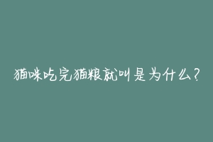 猫咪吃完猫粮就叫是为什么？-动物百科