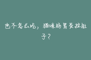 也不怎么吃，猫咪肠胃炎拉肚子？-动物百科