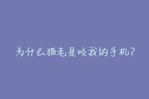为什么猫老是咬我的手机？-动物百科