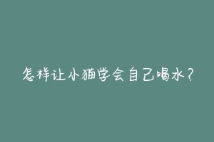 怎样让小猫学会自己喝水？-动物百科
