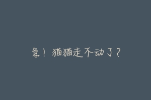 急!猫猫走不动了?-动物百科