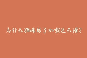 为什么猫咪段子加载这么慢?-动物百科