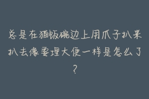 总是在猫饭碗边上用爪子扒来扒去像要埋大便一样是怎么了?-动物百科