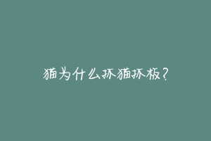 猫为什么抓猫抓板?-动物百科
