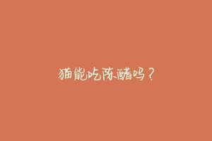 猫能吃陈醋吗?-动物百科