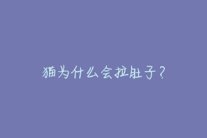 猫为什么会拉肚子?-动物百科