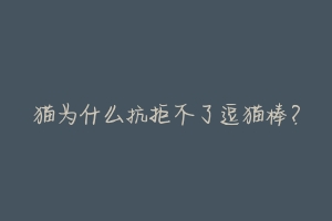 猫为什么抗拒不了逗猫棒?-动物百科