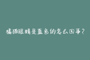 橘猫眼睛是蓝色的怎么回事?-动物百科
