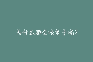 为什么猫会咬兔子呢?-动物百科
