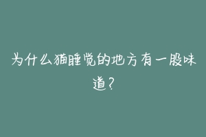 为什么猫睡觉的地方有一股味道?-动物百科