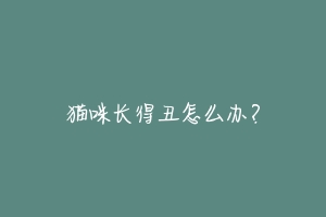 猫咪长得丑怎么办?-动物百科