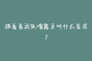 猫看着我张嘴露牙叫什么意思?-动物百科