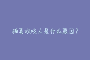 猫喜欢咬人是什么原因？-动物百科