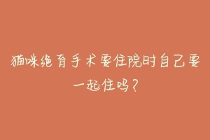 猫咪绝育手术要住院时自己要一起住吗？-动物百科