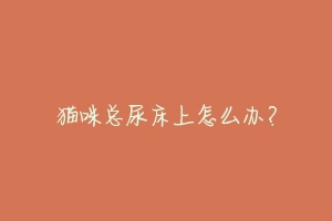 猫咪总尿床上怎么办？-动物百科