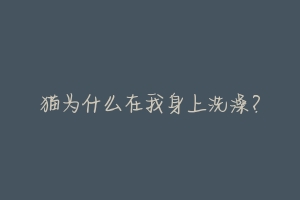 猫为什么在我身上洗澡？-动物百科