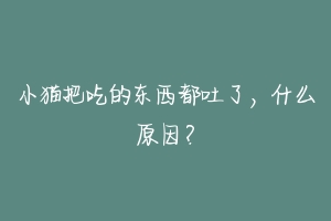 小猫把吃的东西都吐了,什么原因?-动物百科