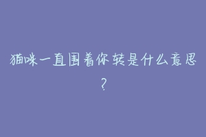 猫咪一直围着你转是什么意思?-动物百科