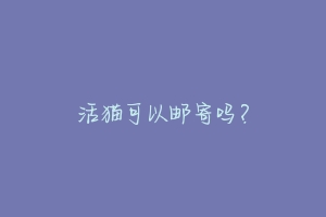 活猫可以邮寄吗?-动物百科