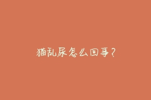 猫乱尿怎么回事?-动物百科