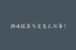 猫咪眼屎多是怎么回事?-动物百科
