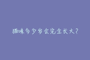 猫咪多少岁会完全长大?-动物百科